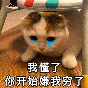  表情包动图听见了两只耳朵都听见了