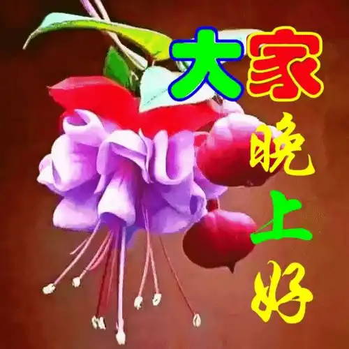  群友们晚上好表情图片,健康吉祥,有个好心情