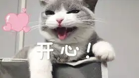 求小饼干表情包大全猫砂