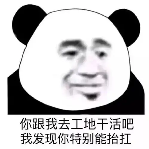  怼人专用表情包熊猫头