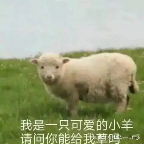 89年的我是怎么了