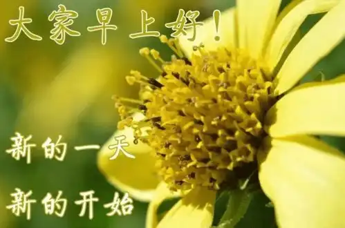  清风揽明月,祝福悄悄走白云深处千山远,一片温馨永存留问候