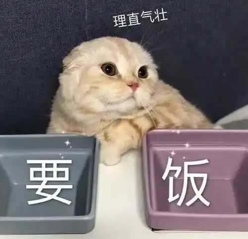  妈妈给俩孩子各养一只猫,谁成绩好谁的猫就能吃罐头,网友我也要为猫猫罐头而读书