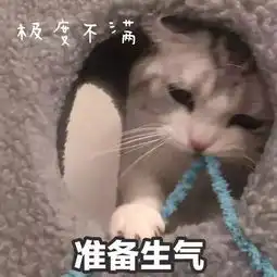 好不好嘛表情包撒娇吸猫
