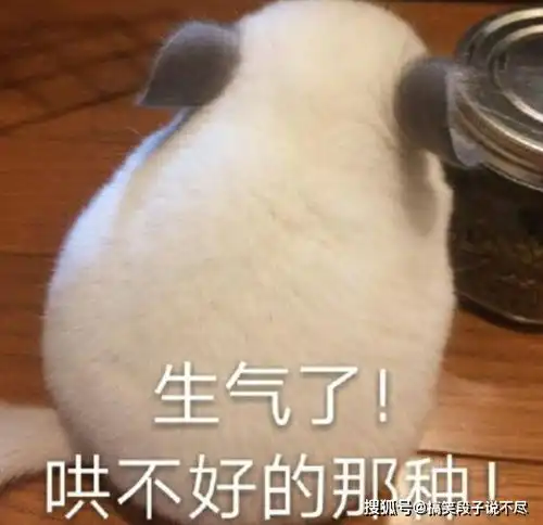  擅长冷暴力却不会吵架的星座,你若不道歉,就会冷战到底