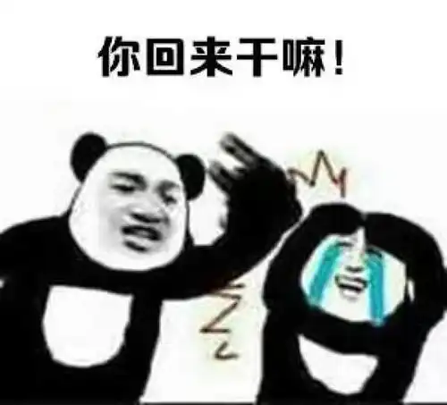 不是你的掉发表情包假期
