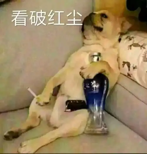  非主流的表情包图片拦路虎和我太难,无所谓也有点累