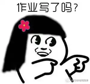 顽皮表情包作业