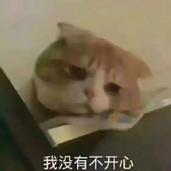  在这个家里,我是一个任何人都可以随意打骂的下等人