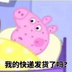  双十一,你都买了啥