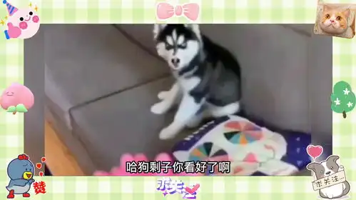 进城了表情包猜错