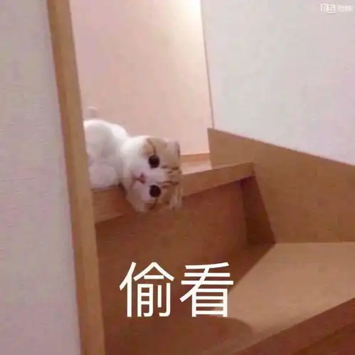  有哪些适合聊天时开头的表情包