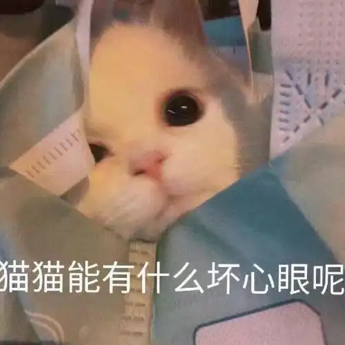  有没有沙雕好玩适合发给异性朋友的表情包