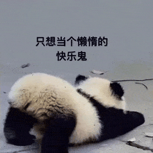  沙雕表情包吓得我抓住了咪咪