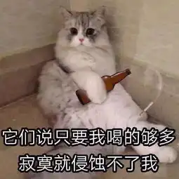  一条最近热门的猫咪的表情包火速收藏