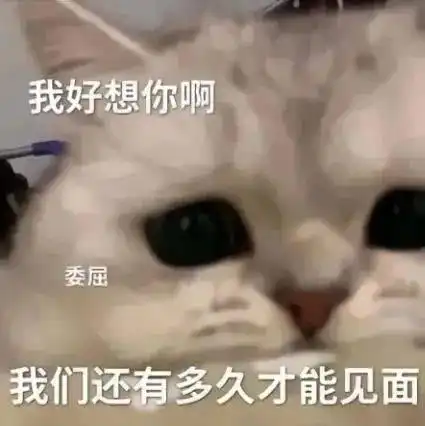  表情包给我一个合理的解释拿图点赞吱声