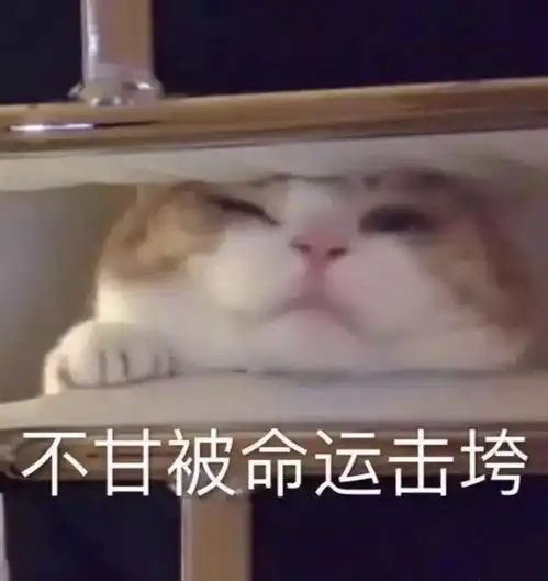  快对乔欣的微博自拍信任破产了镜头一晃精致巴掌脸秒变方块头