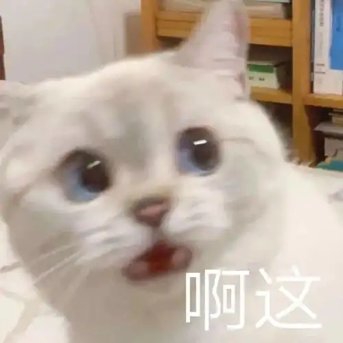 赛丽亚快还钱表情包有人