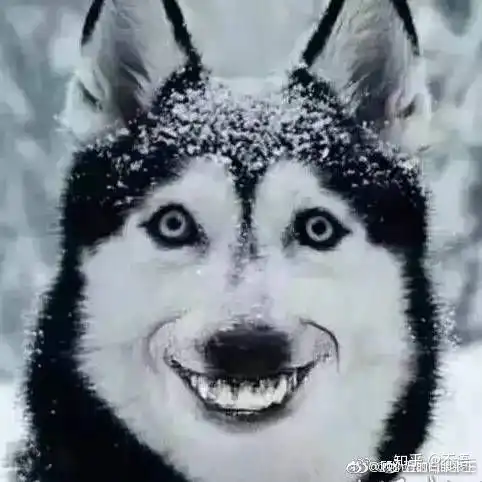  有哪些好看的非脑残低龄的古代言情小说值得推荐