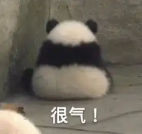  明星在他面前,毫无尊严