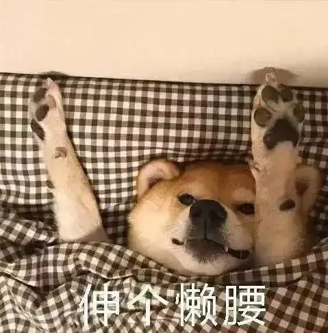 捂脚表情包漫谈