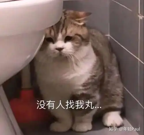  可以帮我推荐几句土味情话嘛
