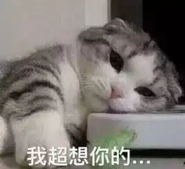  e句话看天下丨周五超前看片会,费启鸣在未来等你