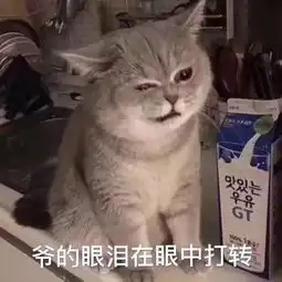  哪里来的奇男子相亲之路不好走啊