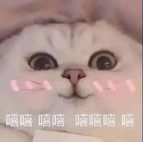  今冬必穿的3条厚裙子,每一条都好好穿
