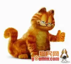 加菲猫表情包小视频仓鼠