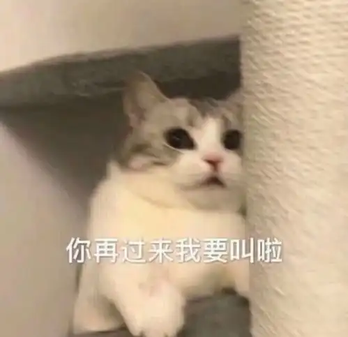 和对象聊天用的可爱表情包 和对象聊天用的可爱表情包