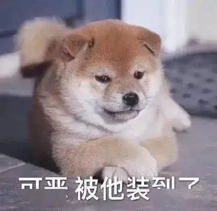 好尴尬啊表情包马斯克