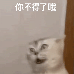  表情包一组有趣的表情包