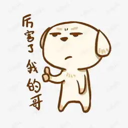  厉害了我的哥小狗表情包素材图片免费下载高清png千库网图片编号8475928
