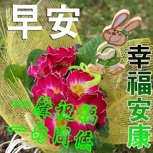  朋友圈温馨清晨祝福语句,早上好温馨祝福图片,2021年早安祝福语精选