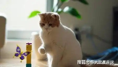  下周起,时光渐入佳境,心愿成真,好事一股脑出现的三大星座