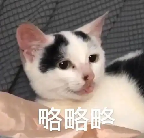  第868期