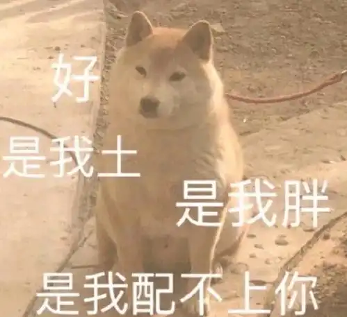  值得你收藏沙雕的表情包