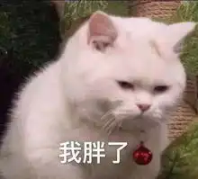  减肥就要饿肚子no这3种主食吃一卡车都不会胖