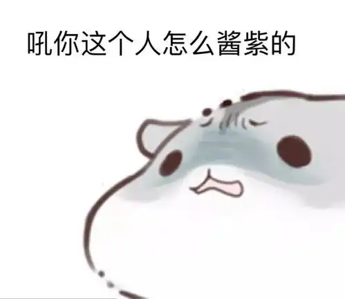 edg是什么意思表情包小