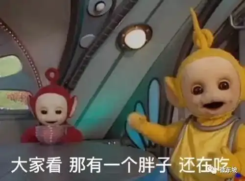  速看眉山圣丰国际发现海洋,还有恐龙