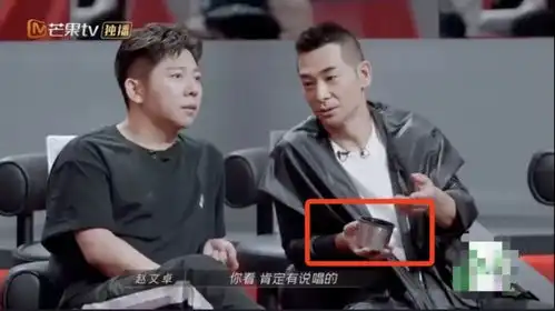  请接收披荆斩棘的赵文卓变表情包大户,向你发射了一记流星锤