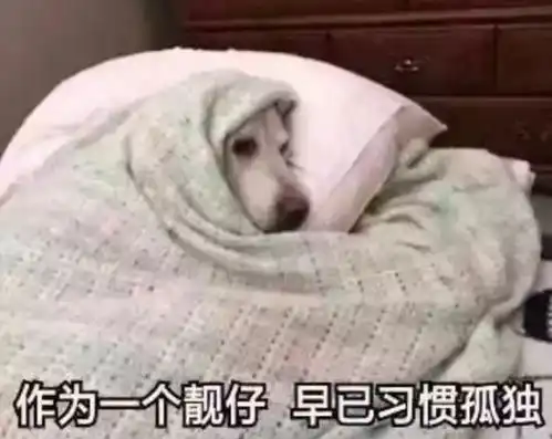  我家那闺女请来的女明星皆为单身,这不是搞事吗