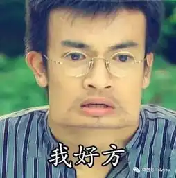  海拔超千米的高山森林滑道,刺激好玩到停不下来