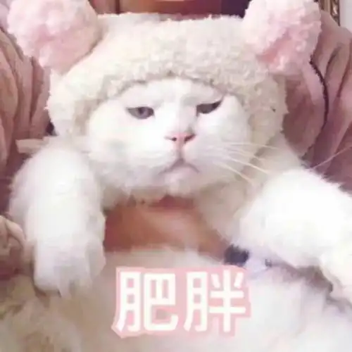  表情包别问我过得好不好你又不是没我支付宝