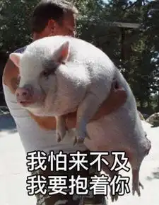  为了吃口猪肉,我太难了