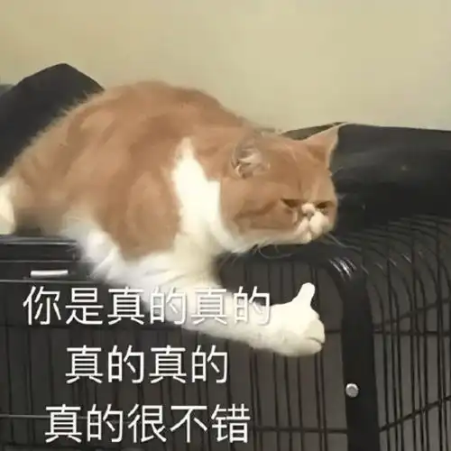  停止做这10件事之后,我发现运气开始慢慢变好了
