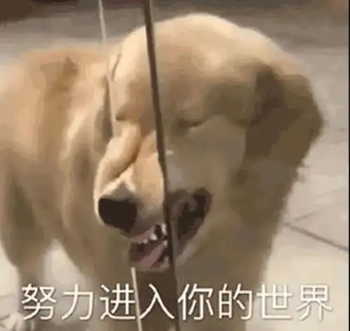  又可怜又沙雕的舔狗语录