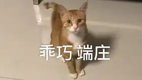 太无聊了无聊得看呆瓜睡觉 太无聊了无聊得看呆瓜睡觉