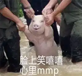  最后,是表情包说尽了我一年的酸甜苦辣